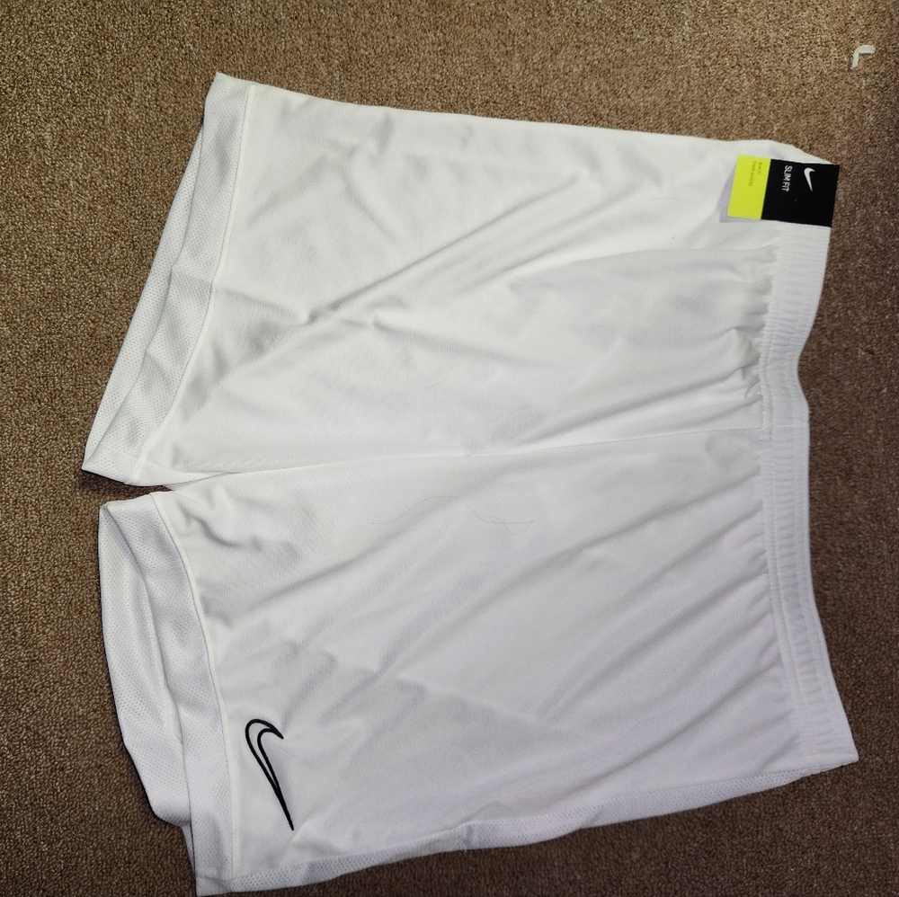 Size L Nike Shorts